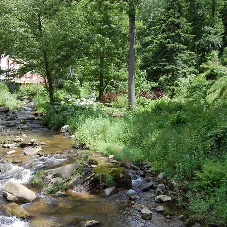 Bed and Breakfast Notre-dame D'escouloubre Sources D'eaux Chaudes Privees Et Sauna 4*