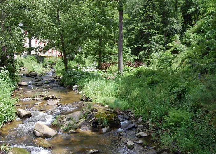 Panzió Notre-dame D'escouloubre Sources D'eaux Chaudes Privees Et Sauna 3*